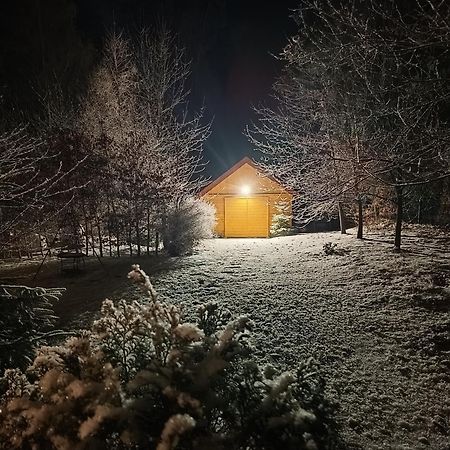 Villa Lupus - Apartament Z Prywatna Sauna Шклярська Поремба Екстер'єр фото