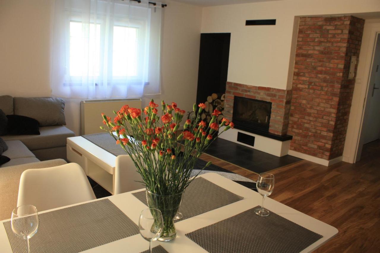 Villa Lupus - Apartament Z Prywatna Sauna Шклярська Поремба Екстер'єр фото